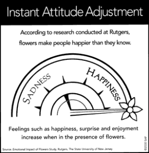 Instant Attitude Adjustment