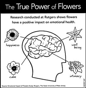 True Power of Flowers